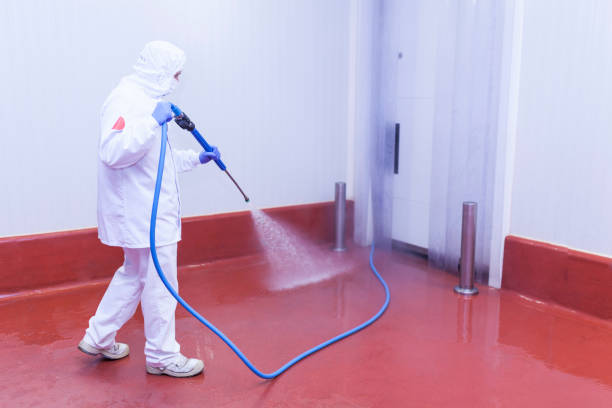 Best Window and Screen Pressure Cleaning in Atwood, IL